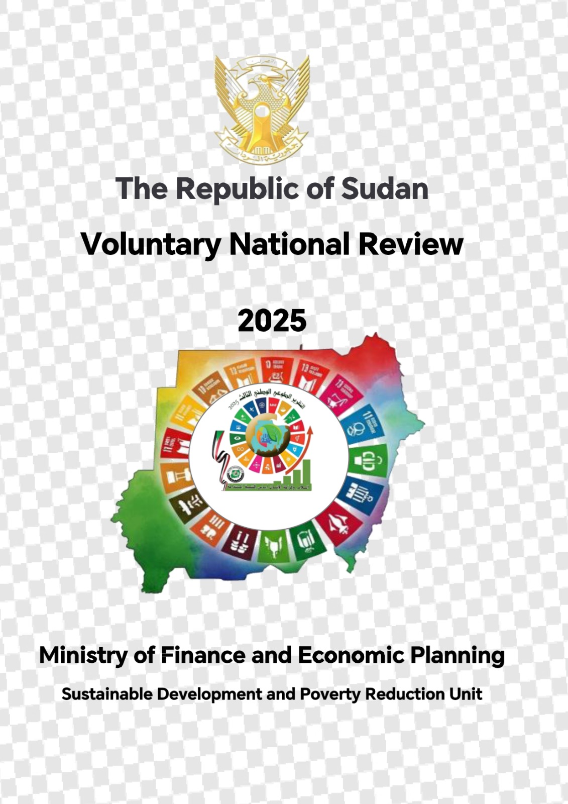 Egypt VNR 2021